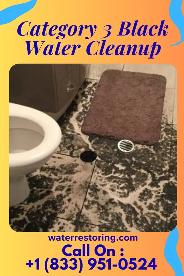 Category 3 Black Water Cleanup in Edinboro, PA