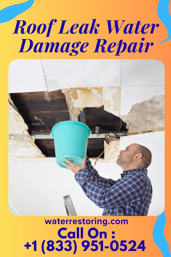 Roof Leak Water Damage Repair in Edinboro, PA