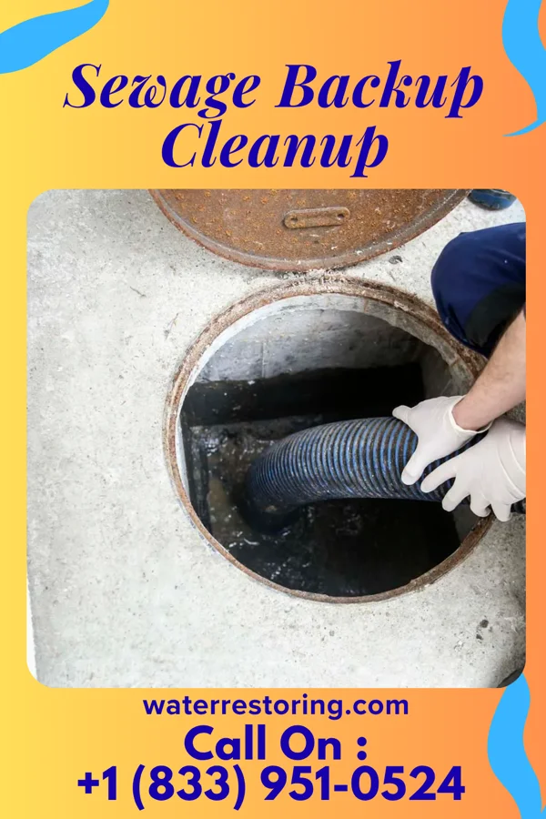 Sewage Backup Cleanup in Edinboro, PA