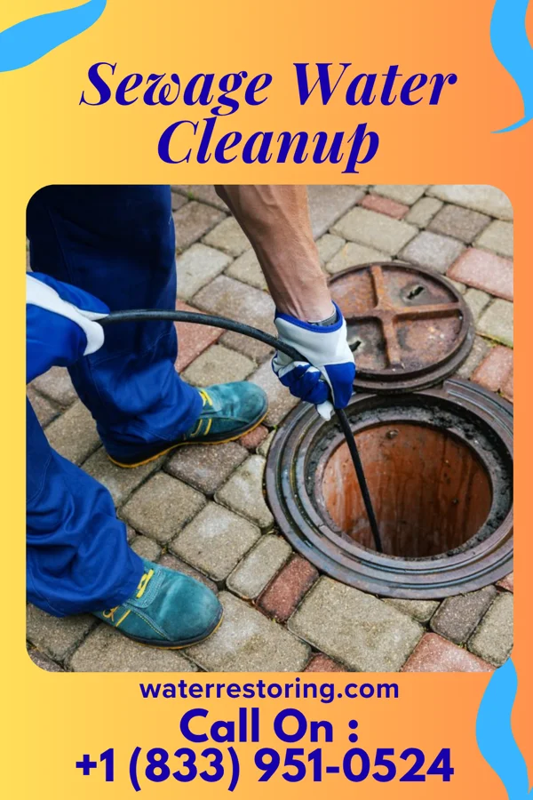 Sewage Water Cleanup in Edinboro, PA